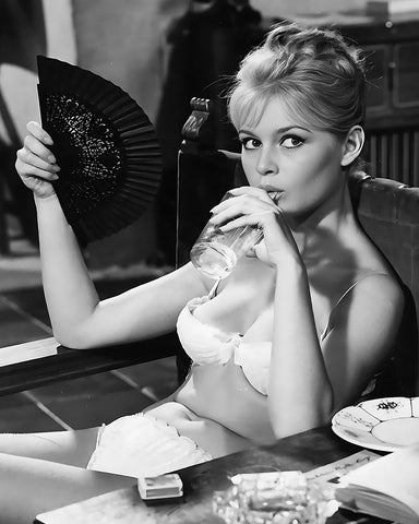 Brigitte in Lingerie No1