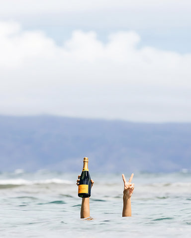 Peace Hand Sign No4
