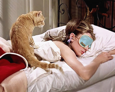 Sleeping Audrey & Cat
