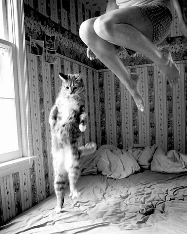 Woman & Cat No2