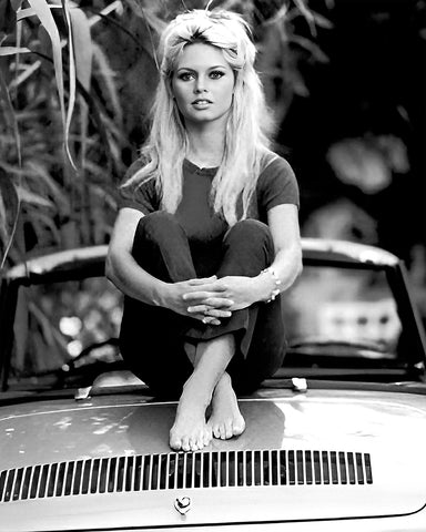 Brigitte Sitting on the Car
