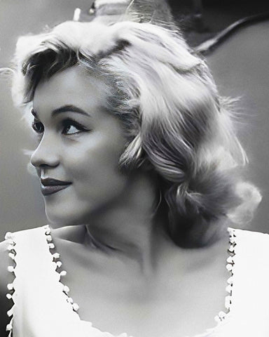 Marilyn Fashion Portrait