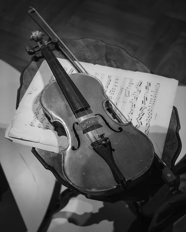 Violin Photography