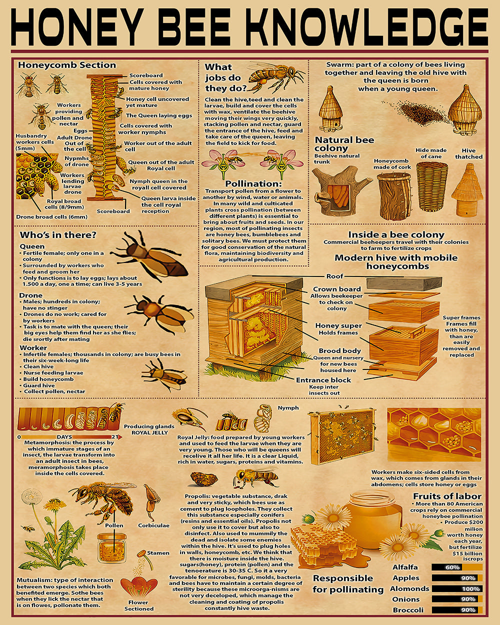 Honey Bee Knowledge