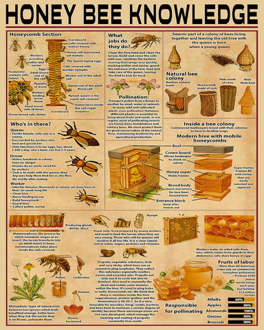 Honey Bee Knowledge