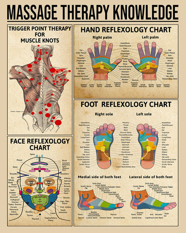 Massage Therapy Knowledge