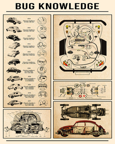 Bug Knowledge
