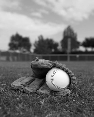 Baseball Glove