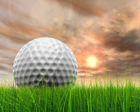 Golf Ball on a Field No2