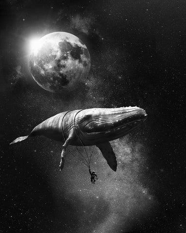Blue Whale in Space