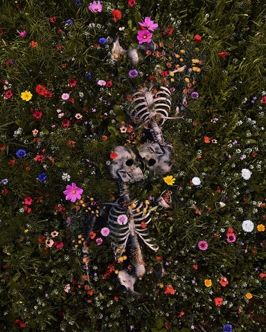Skeleton Lovers