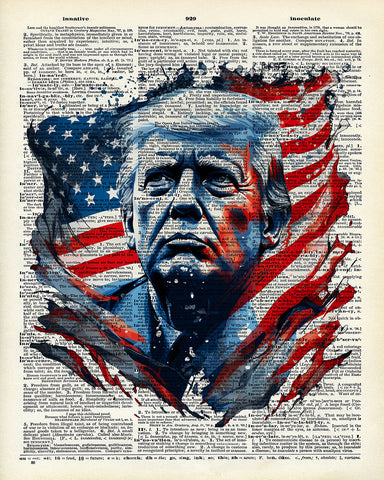 Trump Dictionary Art