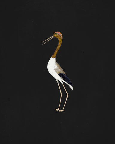 Crane Bird No2