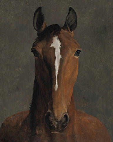 Jacques-Laurent Agasse - Horse Head