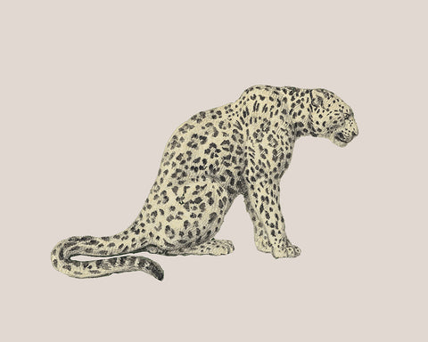 Leopard Panther No1