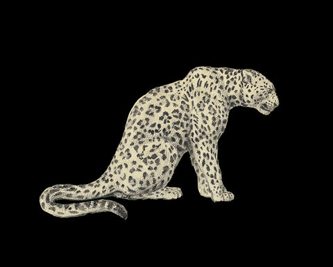 Leopard Panther No4