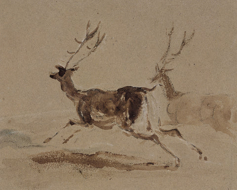 Two Stags Running
