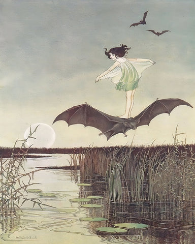 Winged Fairy & Black Bat
