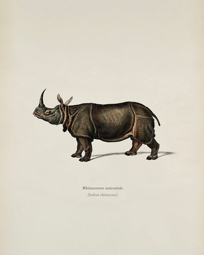 Unframed