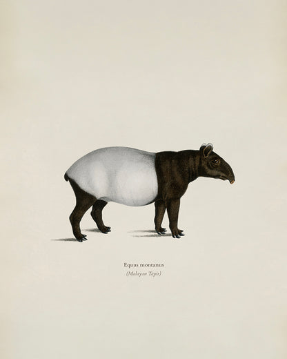 Unframed