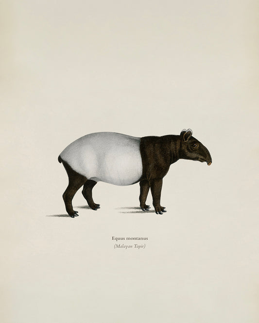 Unframed