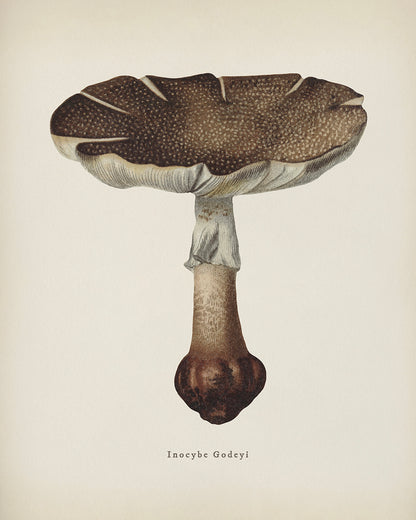 Unframed