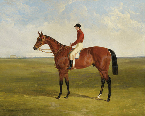 Jockey on a Horse