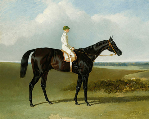 Racehorse with Jockey No1