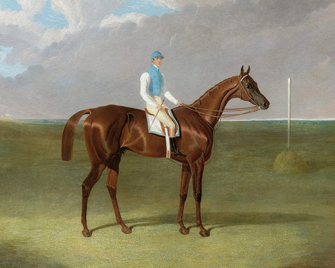 Racehorse with Jockey No2