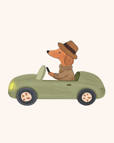 Dog Driving Car