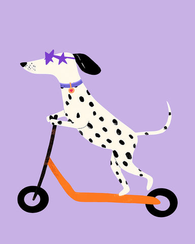 Dalmatian on Scooter
