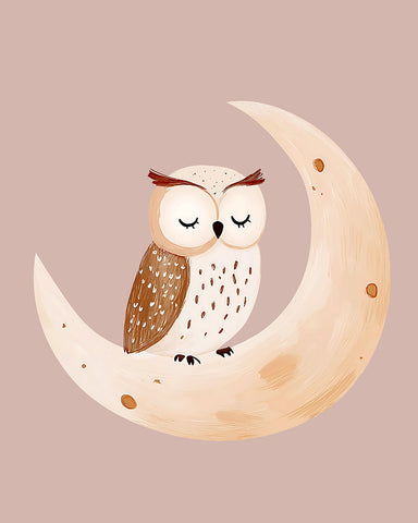 Sleeping Owl