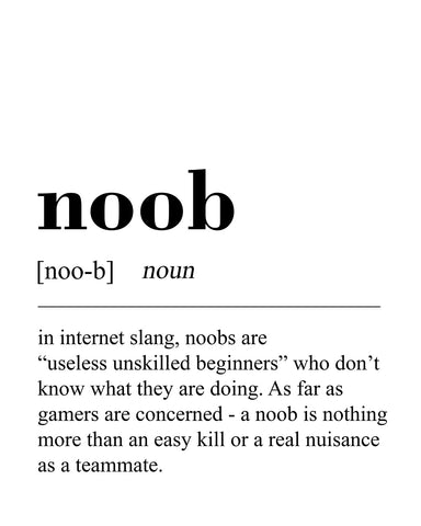 Noob Definition