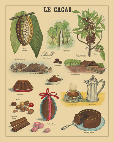 Le Cacao