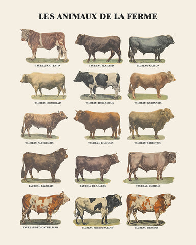 Farm Animals