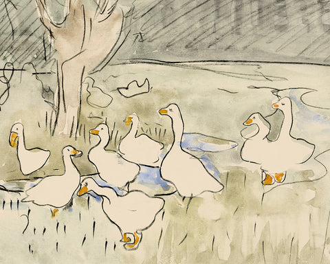 Spring Ducks