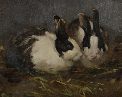 Dutch Rabbits