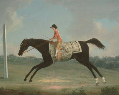 Boy Riding Sultana