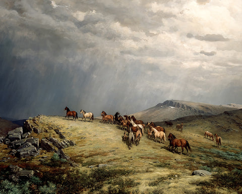 Horses in The Mountains