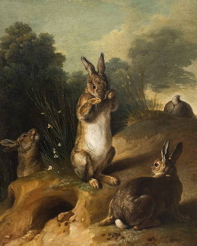 Rabbits in a Sunlit Meadow