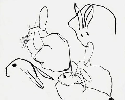 Line Drawing of Bunnies