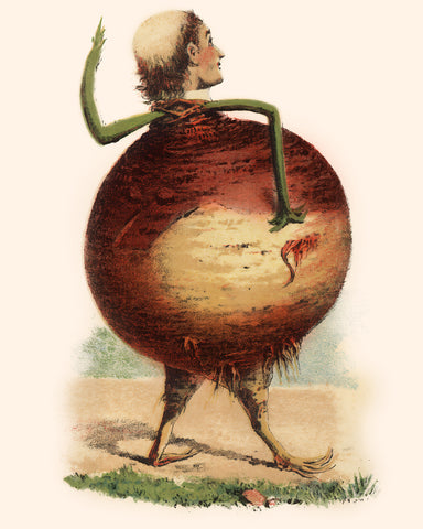 Turnip Man