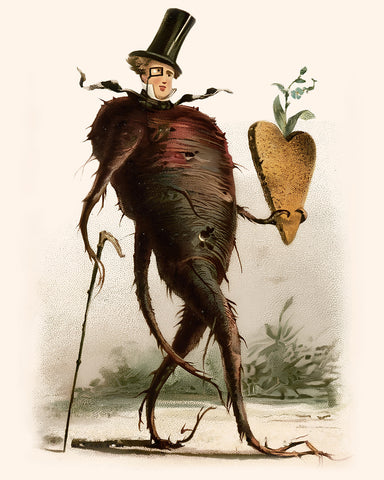 Beetroot Man