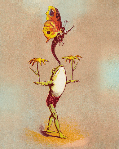 Balancing Frog