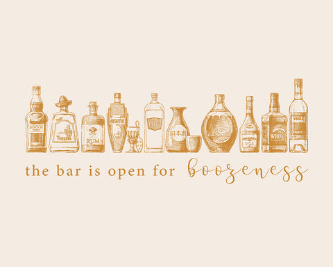 The Bar is Open for Boozeness No2