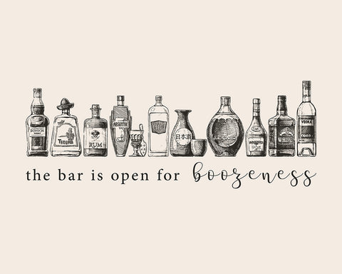 The Bar is Open for Boozeness No6