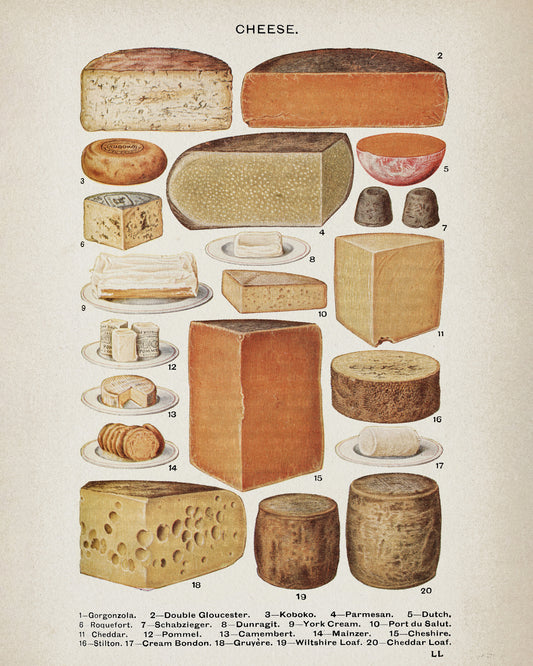 Types of Cheese