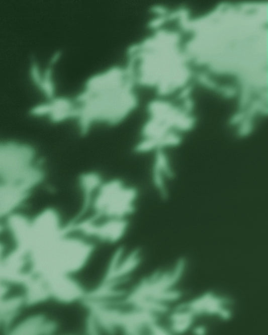 Flower Silhouette NO2