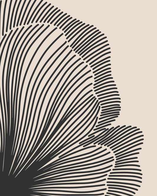 Abstract Flower Lines