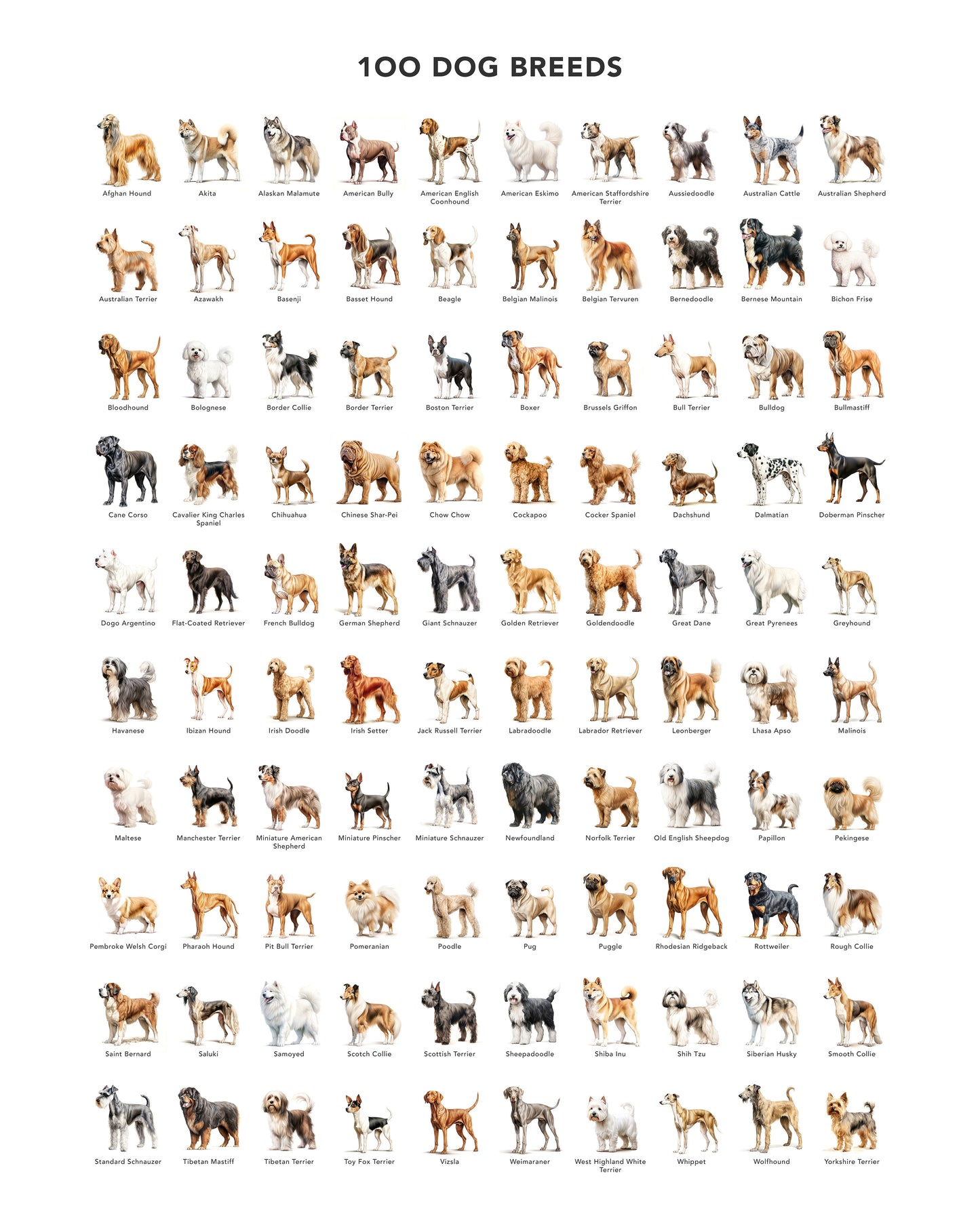 100 Dog Breeds
